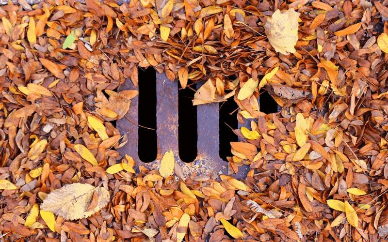 Fallen leaves can cause problems. Winter drain care is important.