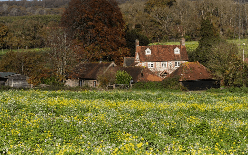 A rural home in Somerset